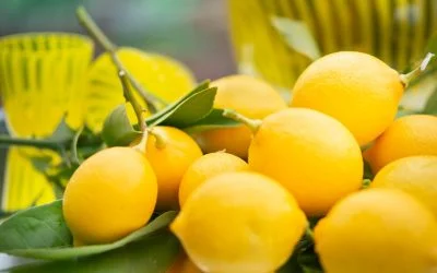 Lemons