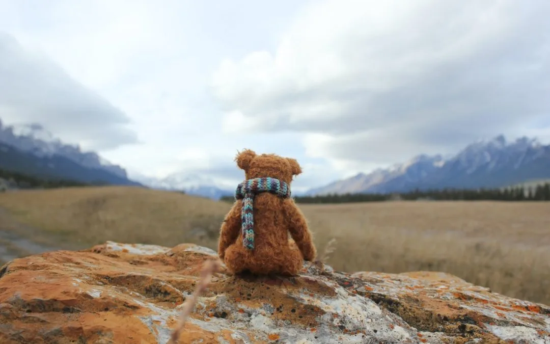 Feeling like a sad bear?