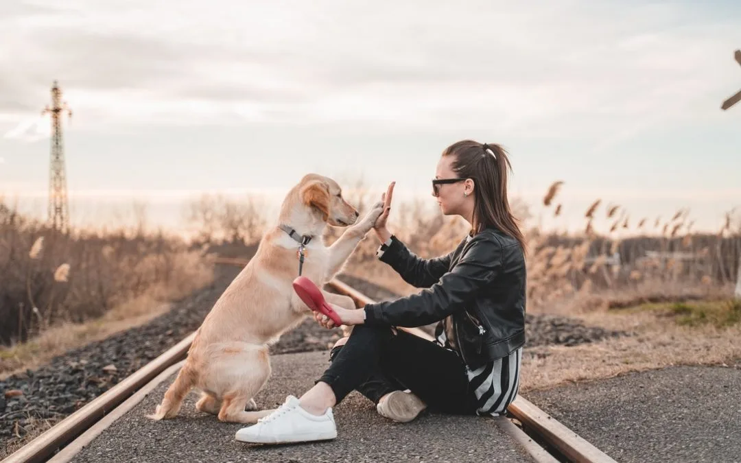 Can Pets improve our mental health?