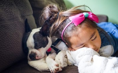 Why children love and need pets