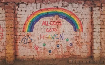 More rainbows please
